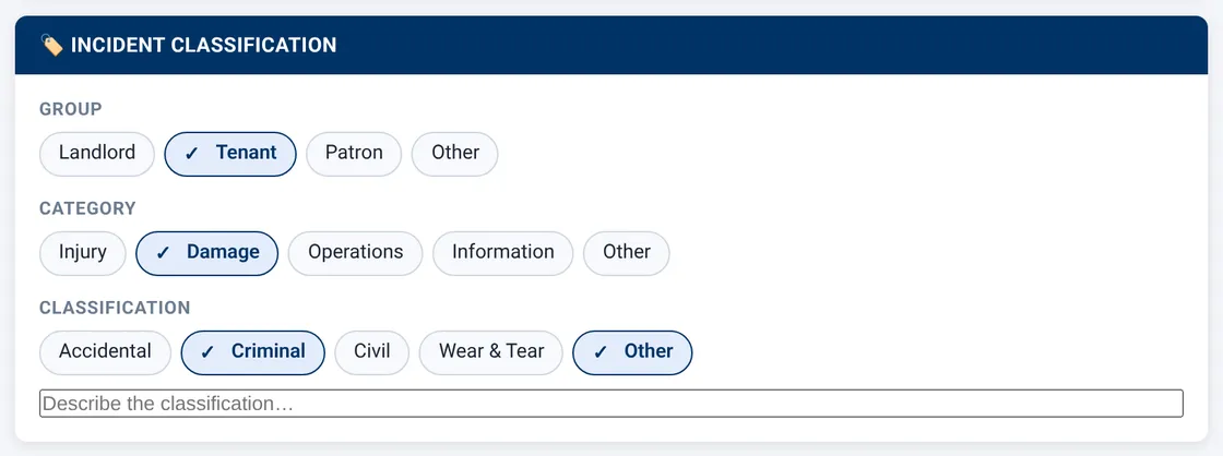 Sectek report app, desktop view: Classification with pills selected; 'Other' reveals describe field
