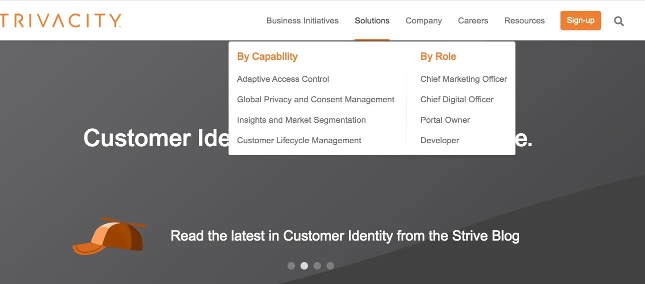 Strivacity dropdown UI detail